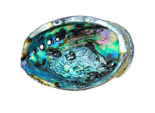 Abalone Shell for Smudging